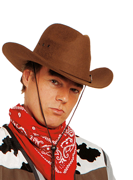 Cowboy Stetson in braun